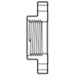 One Piece Flanges (FPT)